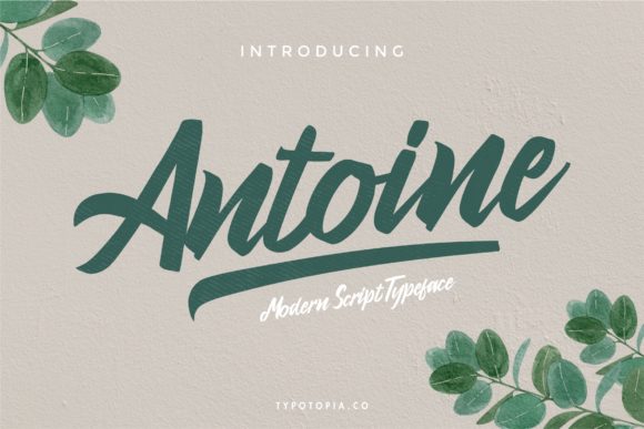 Antoine: A Stylish Script Font for Elegant Design