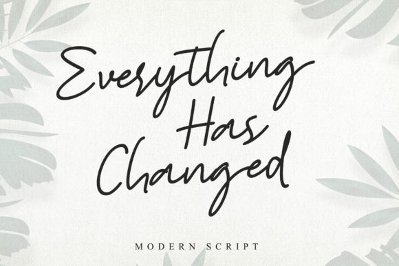 Everything Has Changed: A Timeless Handwritten Font for Every Design