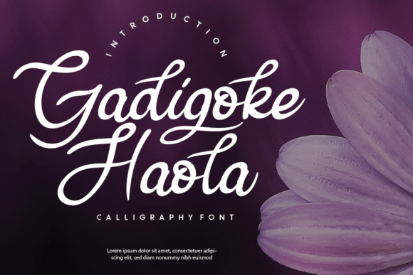 Gadigoke Haola: A Timeless Handwritten Style for Every Design Need