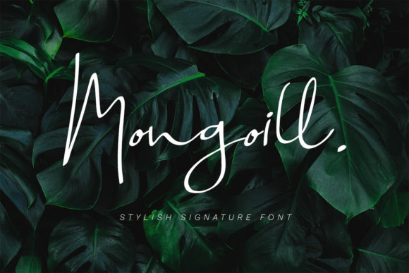 The Power of Personal Touch: Why Mongoill is Reshaping Design Trends